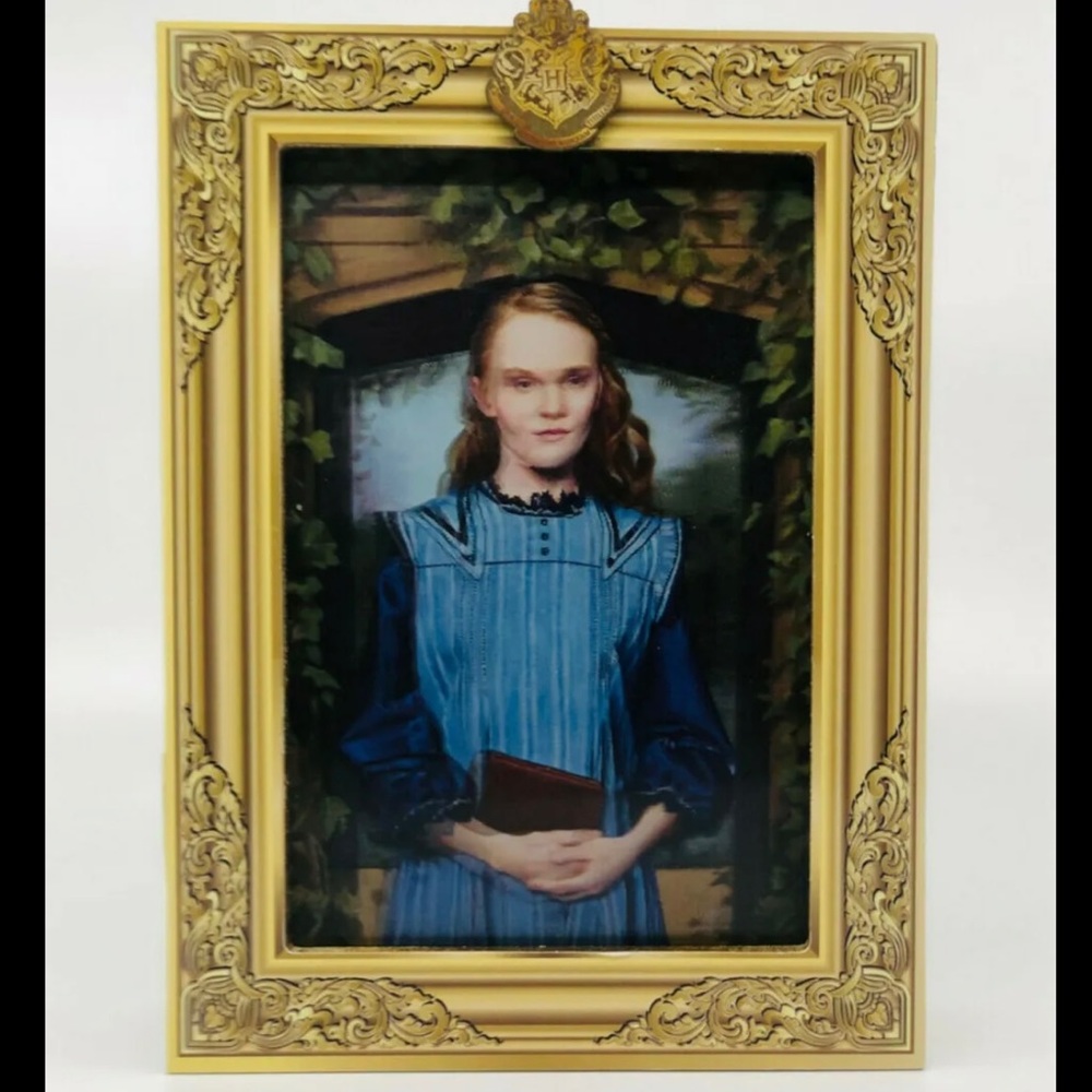 Loot Crate Exclusive Harry Potter Ariana Dumbledore Frame w/ Secret Storage NIB